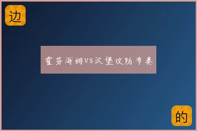 霍芬海姆vs汉堡攻防节奏